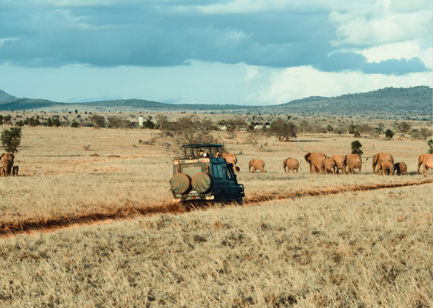 Express Safari Getaway